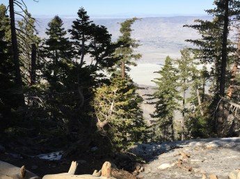 24006902-5600-4AE8-A007-59DD7EBEE685