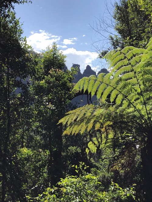 Photo Jan 02, 9 46 14 AM