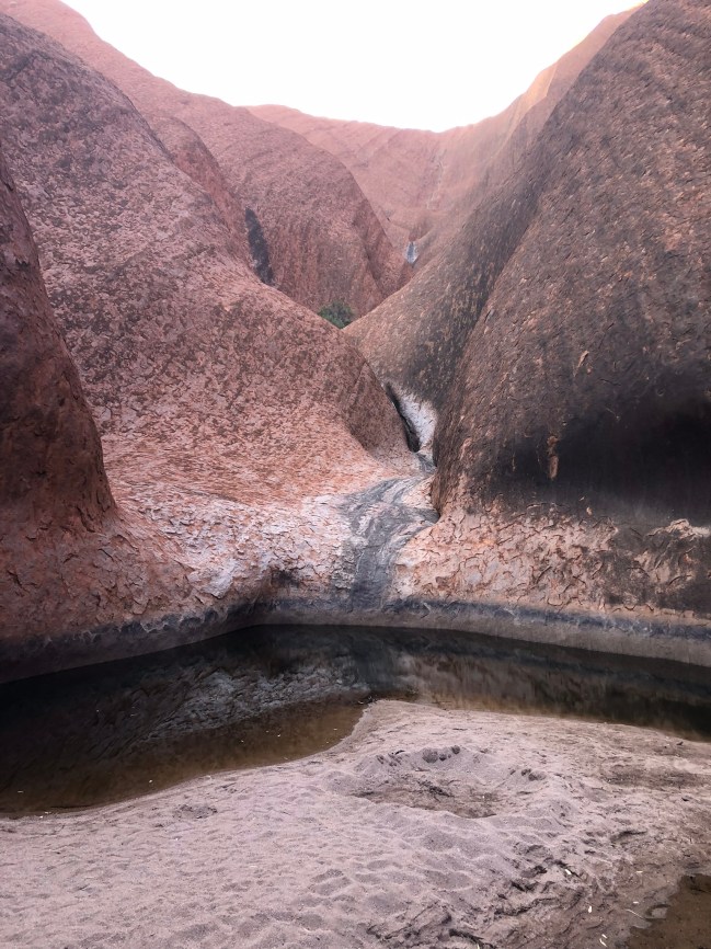 Photo Jan 03, 6 48 35 PM