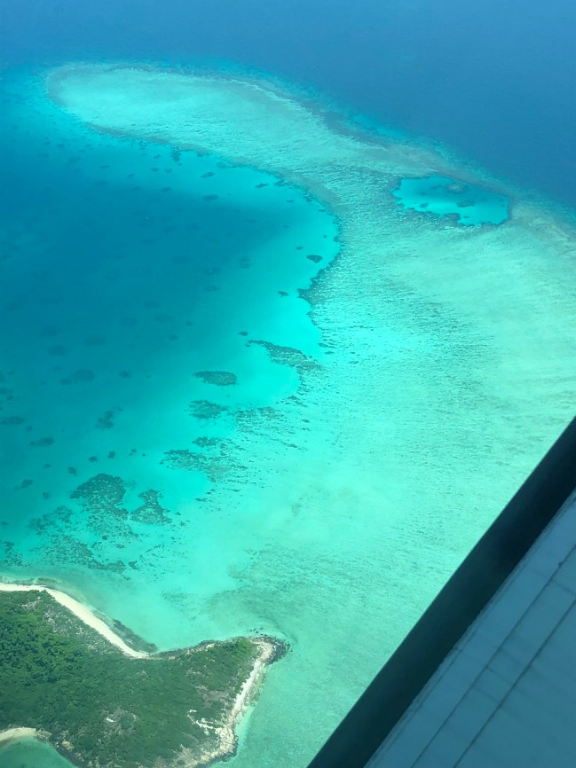 Photo Jan 07, 11 50 16 AM