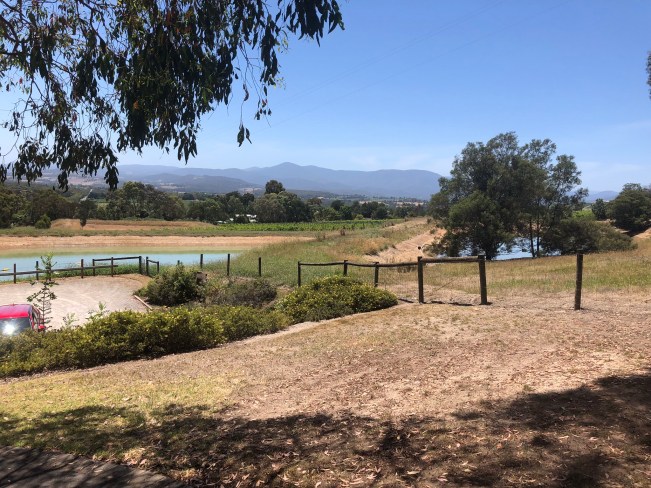 Photo Jan 13, 1 49 25 PM