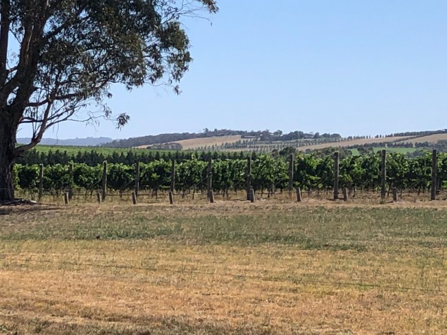 Photo Jan 13, 4 16 28 PM